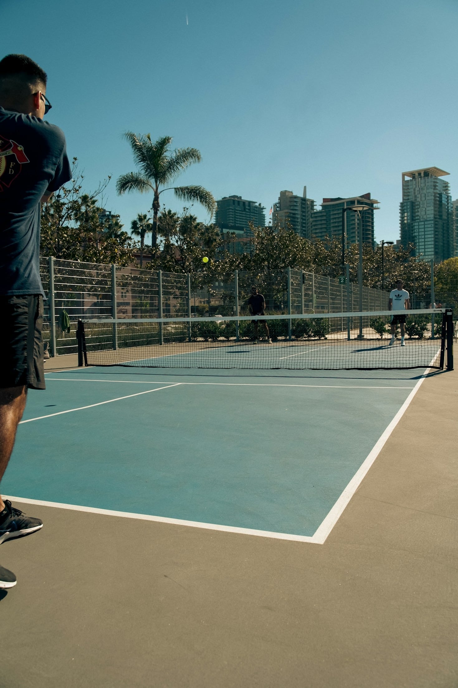 From Rookie to Pro: The Journey of a Court Legend